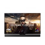 Panasonic TX-55FZ950E návod a manuál