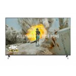 Panasonic TX-65FX700E návod a manuál