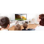 GoGEN TVH 24N384 návod a manuál