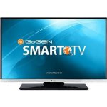 GoGEN TVF 22R384S návod a manuál