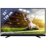 Grundig Vision 6 55 VLE 6625 návod a manuál