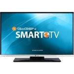 GoGEN 22R384 návod a manuál