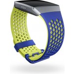 Fitbit Ionic L návod a manuál