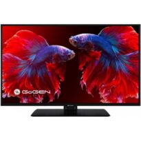 GoGEN TVF 22P406 návod a manuál