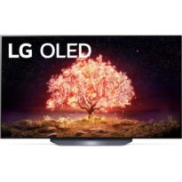 LG OLED55B1 návod a manuál