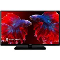 GoGEN TVF 32P559T návod a manuál