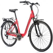 Leader Fox Region 2021 návod a manuál