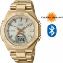 Casio MSG-B100DG-9A návod a manuál