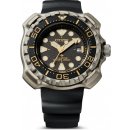 Citizen BN0220-16E návod a manuál