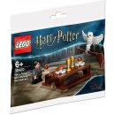 LEGO® Harry Potter™ 30420 Harry Potter™ a Hedviga návod a manuál