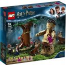LEGO® Harry Potter™ 75967 Zakázaný les: Stretnutie Grawpa s profesorkou Umbridgeovou návod a manuál