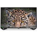 Orion 43SA19FHD návod a manuál