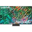 Samsung QE55QN91B návod a manuál
